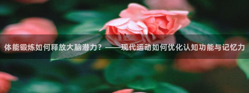 捷报即时比分足球比分：体能锻炼如何释放大脑潜力？——现代运动如何优化认知功能与记忆力